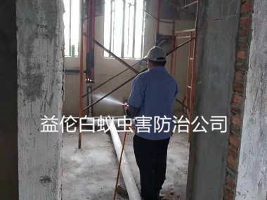荔湾区衡宇装修预防白蚁