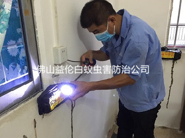 南海温顺衡宇防治白蚁
