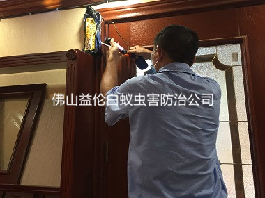 高明碧桂园凤凰城旅馆白蚁防治
