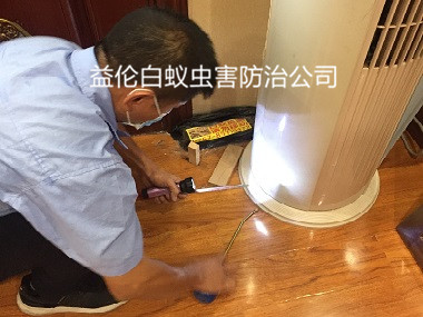 天河中怡都会花园小区治白蚁