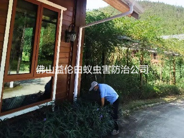 温顺农庄灭治老鼠虫害