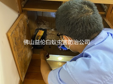 黄岐幸；；；；；；ㄔ靶∏滓戏乐
