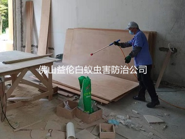 里水装修衡宇防白蚁工程