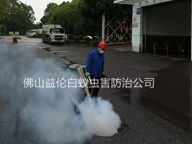 温顺街道杀蟑螂蚊蝇
