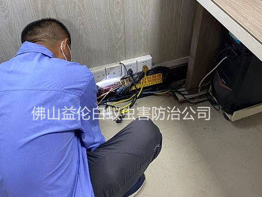 大沥衡宇治白蚁工程