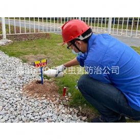 温顺园区治红火蚁