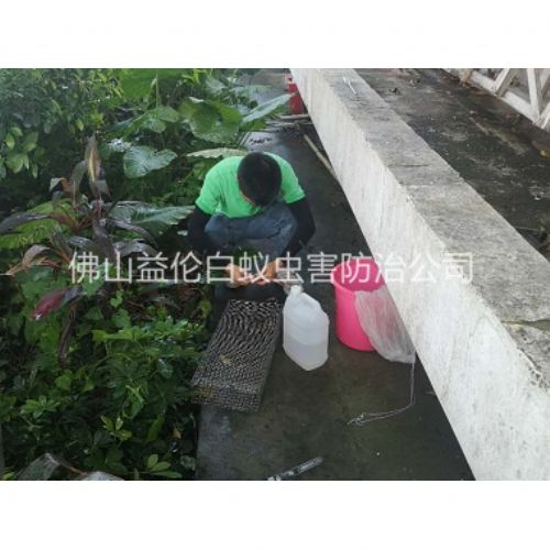 桂城除四害举行捕蛇