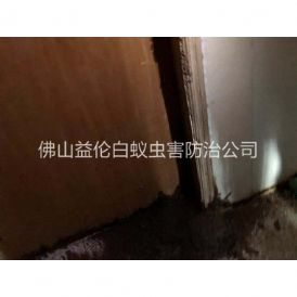 小塘镇客栈蚁害防治