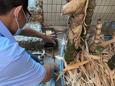 白蚁防治知识-佛山市益伦白蚁虫害防治有限公司