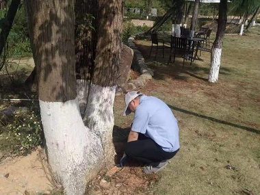 新闻动态-佛山市益伦白蚁虫害防治有限公司