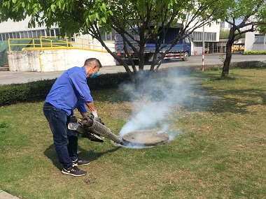 新闻动态-佛山市益伦白蚁虫害防治有限公司